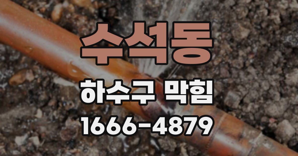 수석동 하수구 막힘