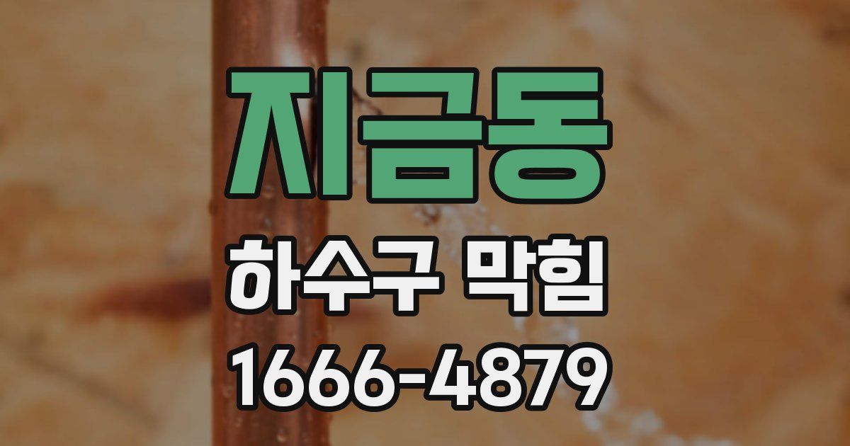 지금동 하수구 막힘