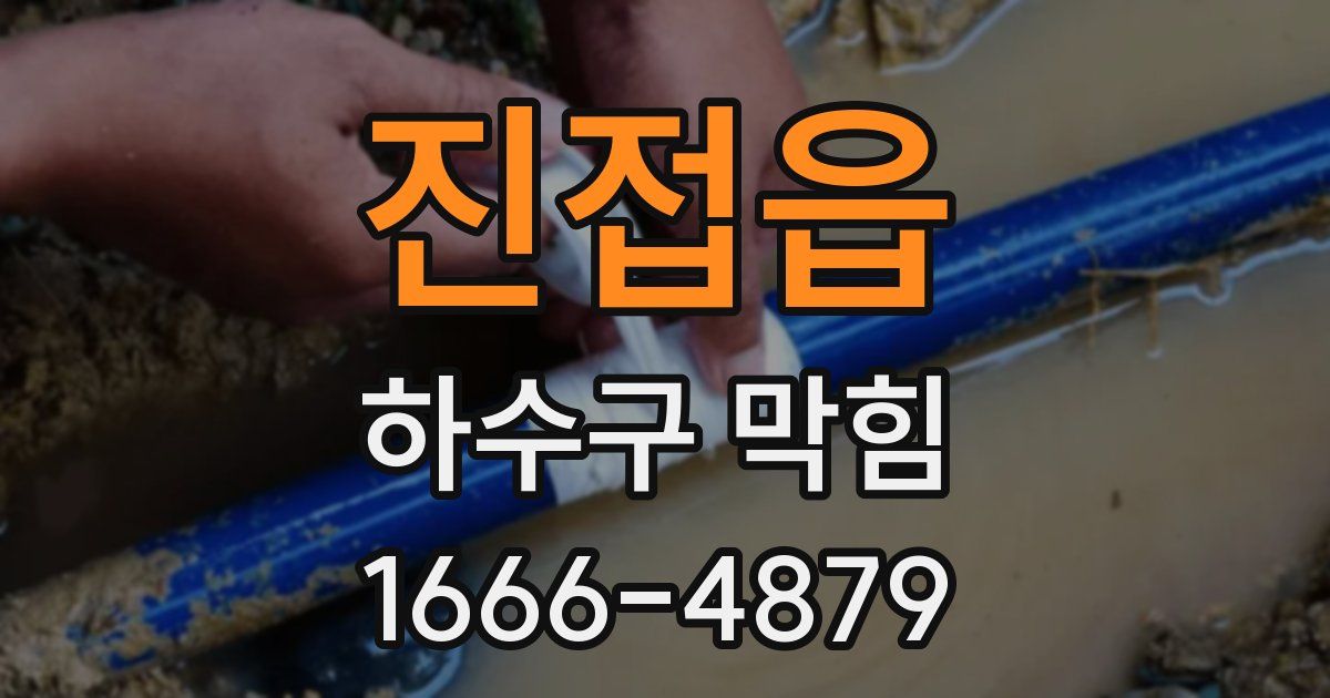 진접읍 하수구 막힘