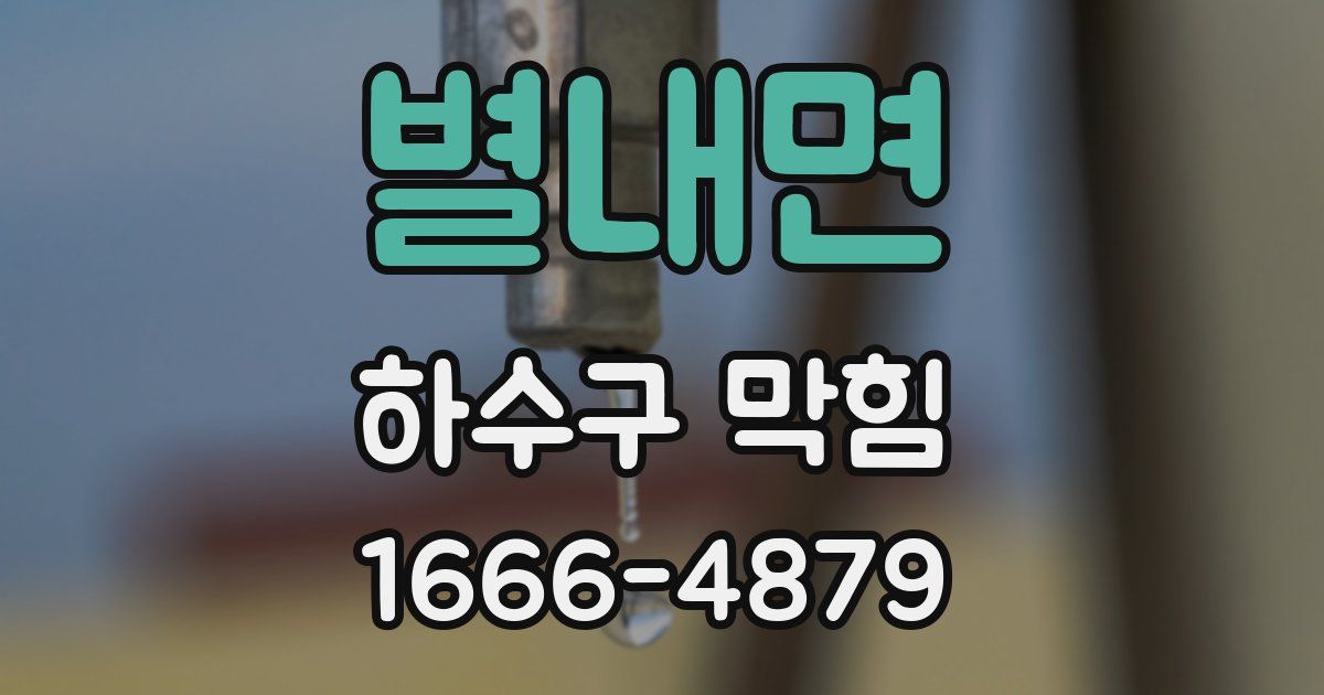 별내면 하수구 막힘