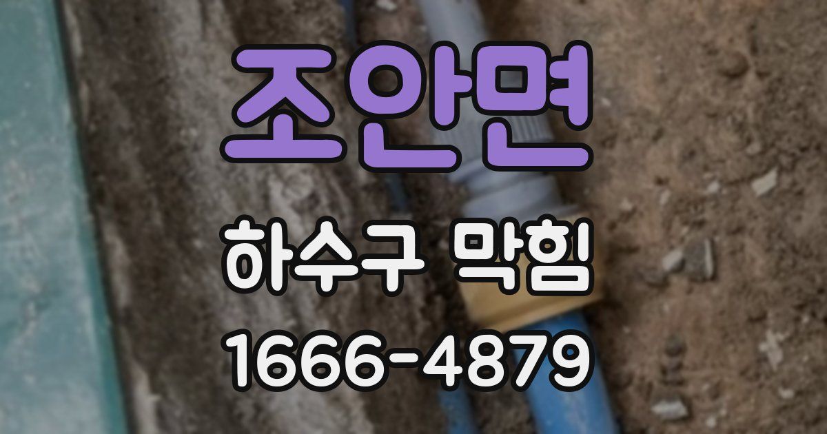 조안면 하수구 막힘