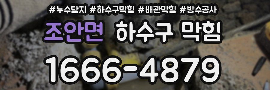 조안면 하수구 막힘