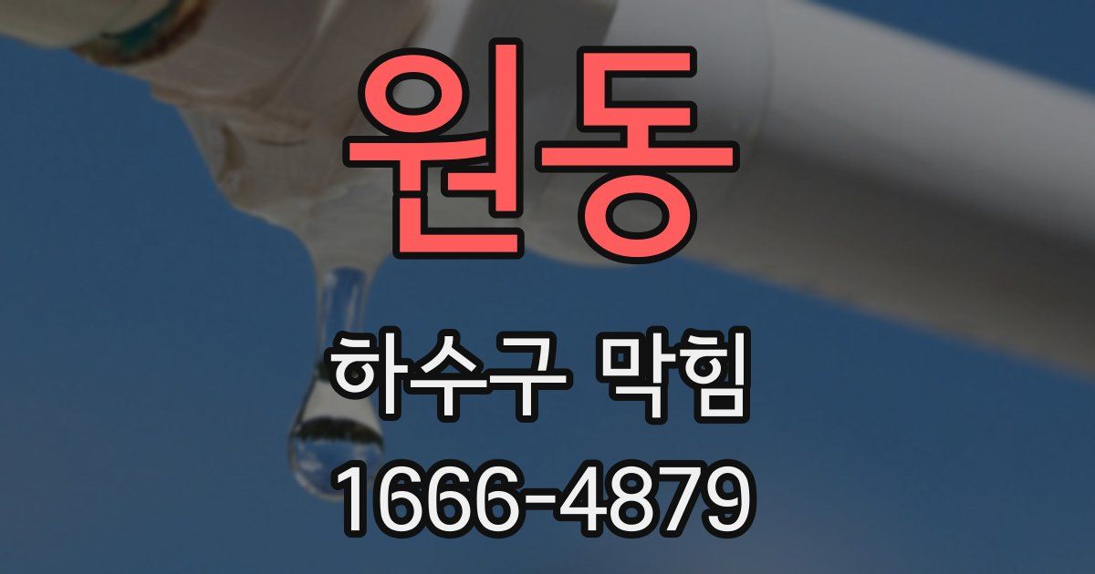 원동 하수구 막힘