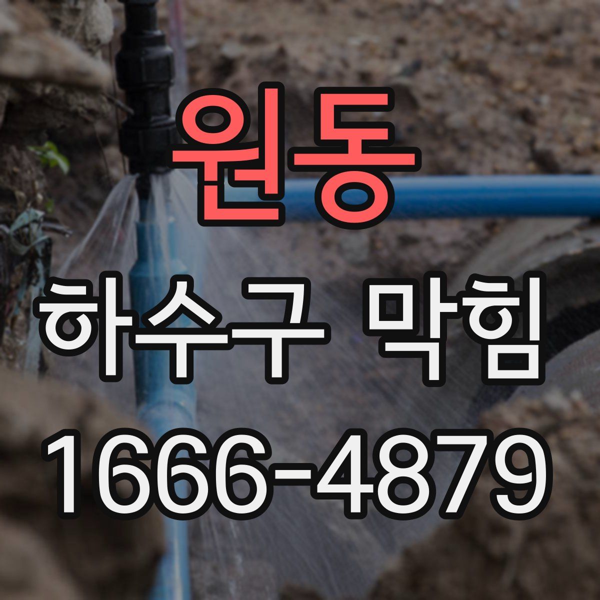 원동 하수구 막힘