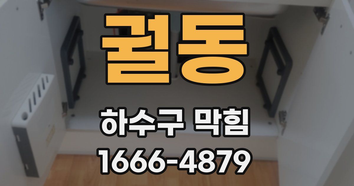 궐동 하수구 막힘