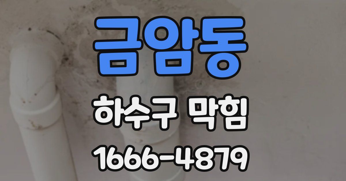 금암동 하수구 막힘