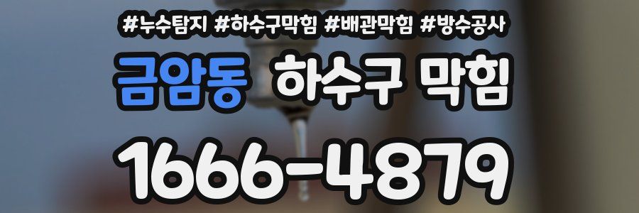 금암동 하수구 막힘
