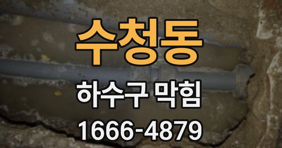 수청동 하수구 막힘
