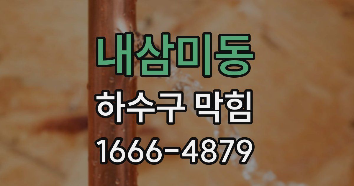 내삼미동 하수구 막힘