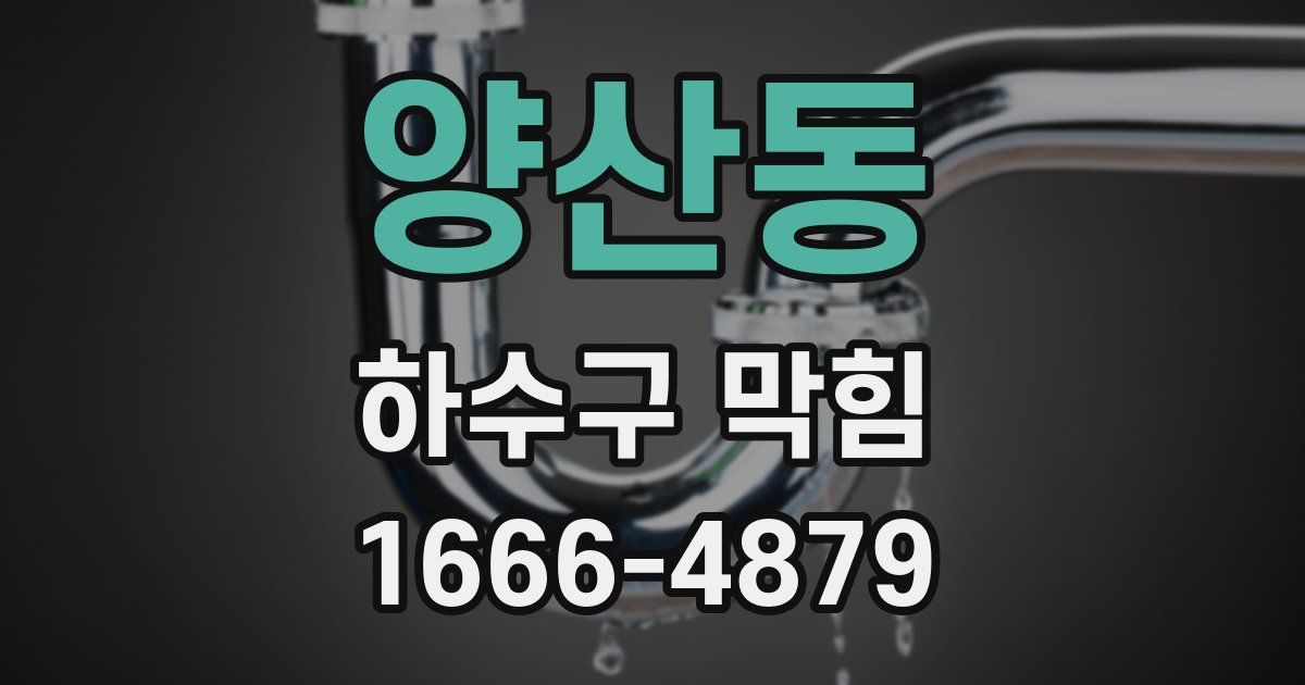 양산동 하수구 막힘