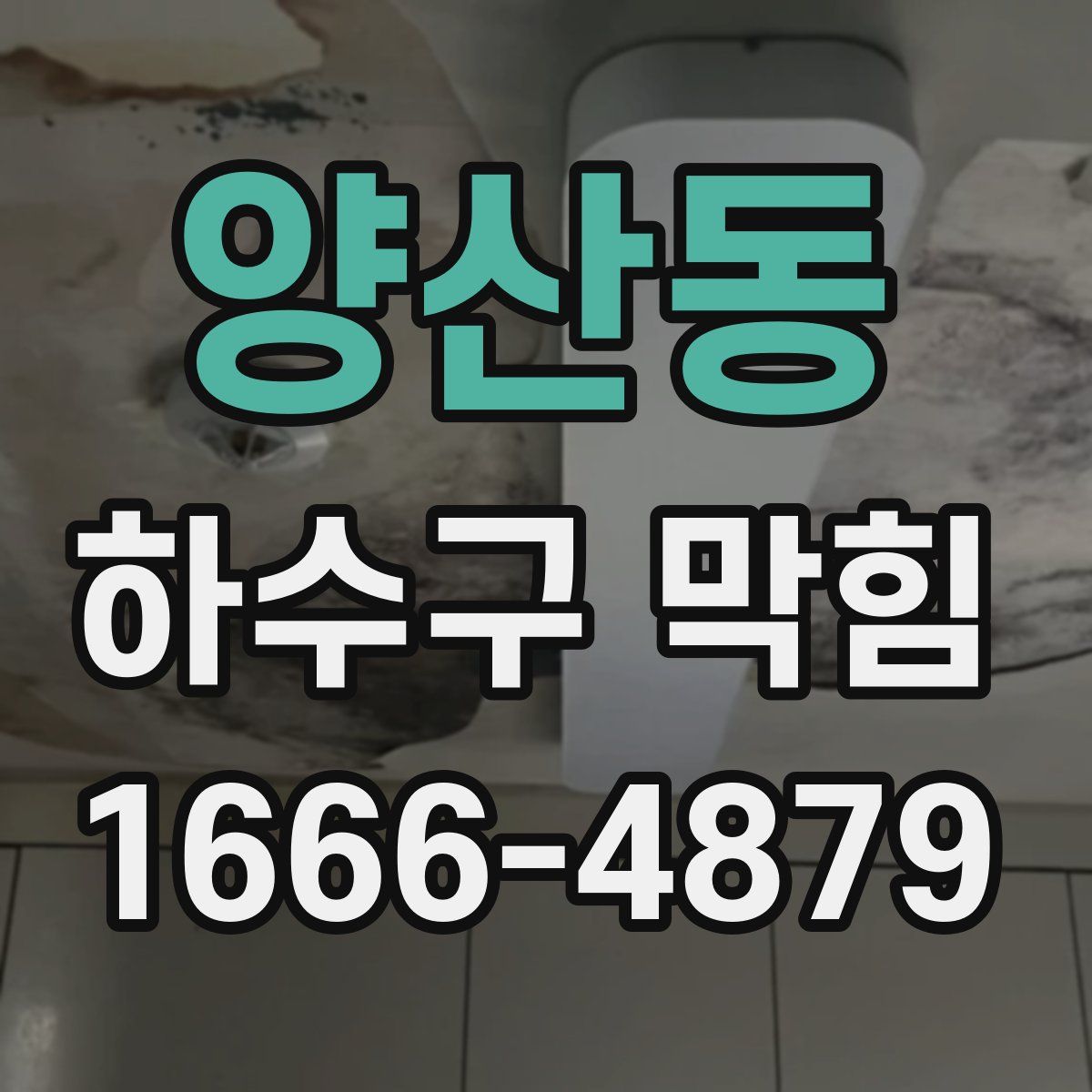 양산동 하수구 막힘