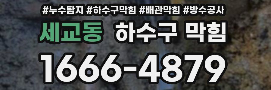 세교동 하수구 막힘