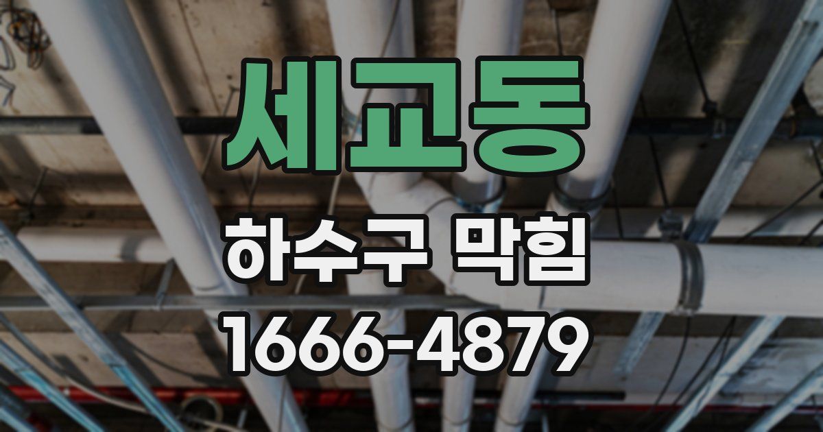 세교동 하수구 막힘