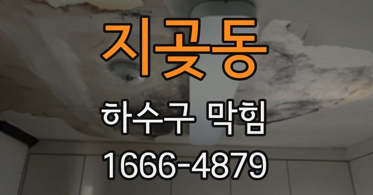 지곶동 하수구 막힘
