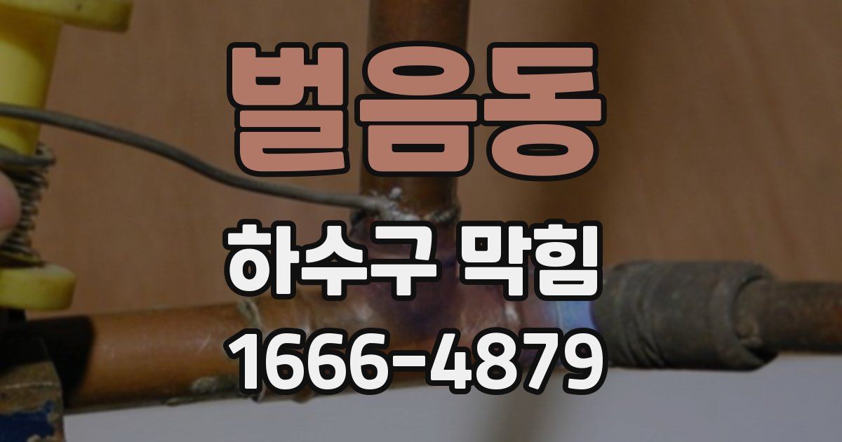 벌음동 하수구 막힘