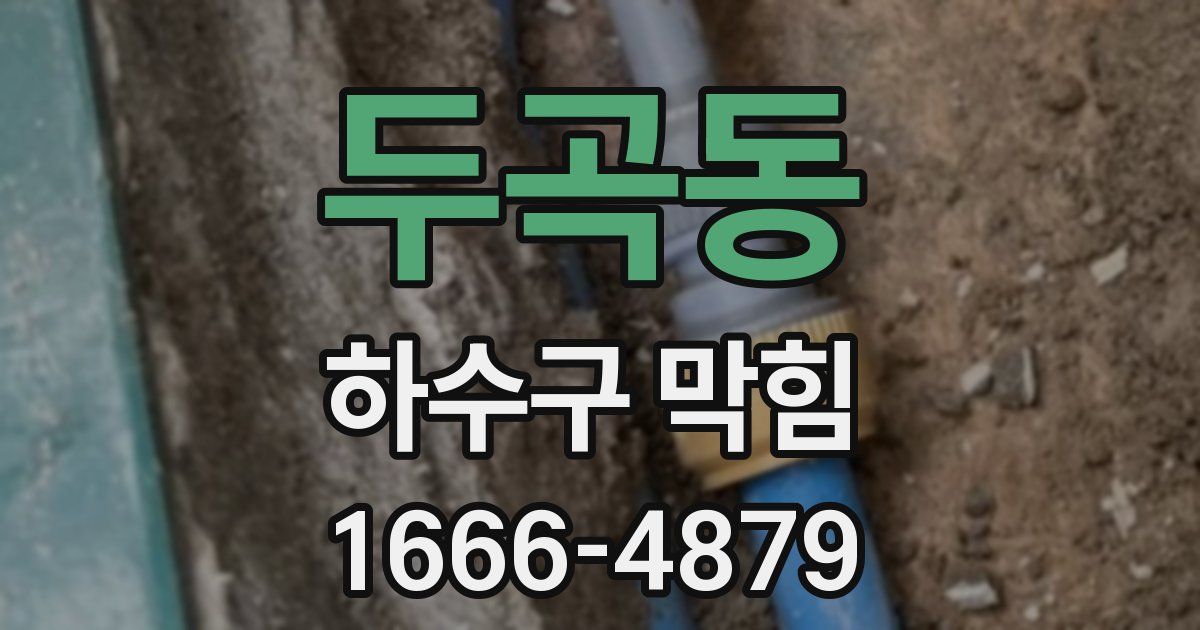 두곡동 하수구 막힘