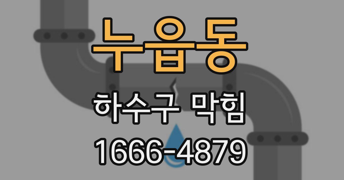 누읍동 하수구 막힘