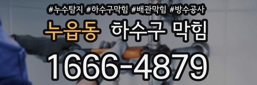 누읍동 하수구 막힘