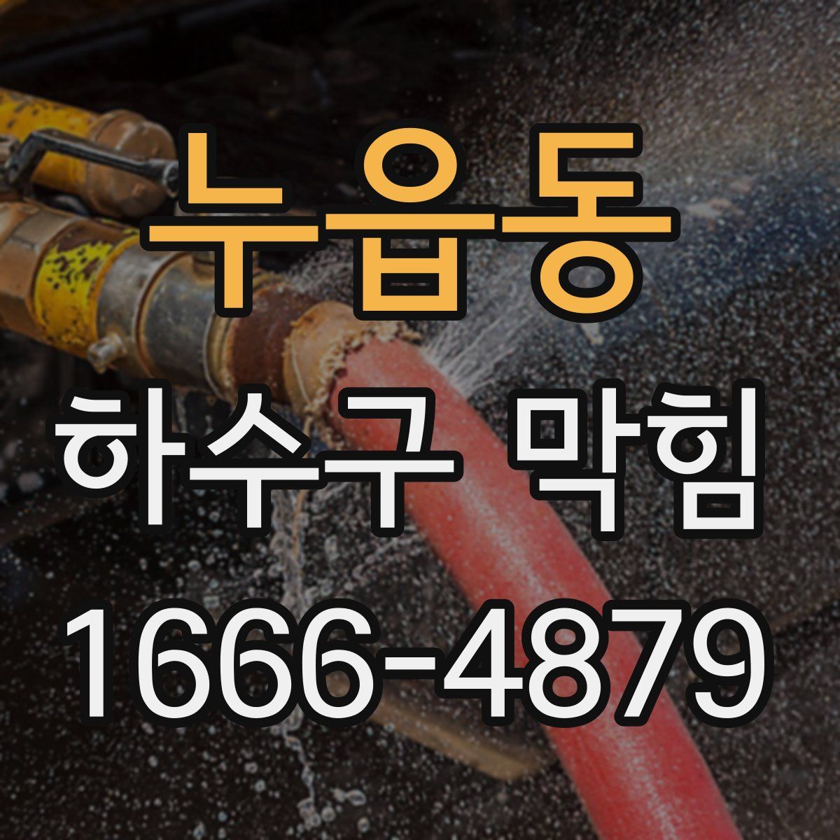 누읍동 하수구 막힘