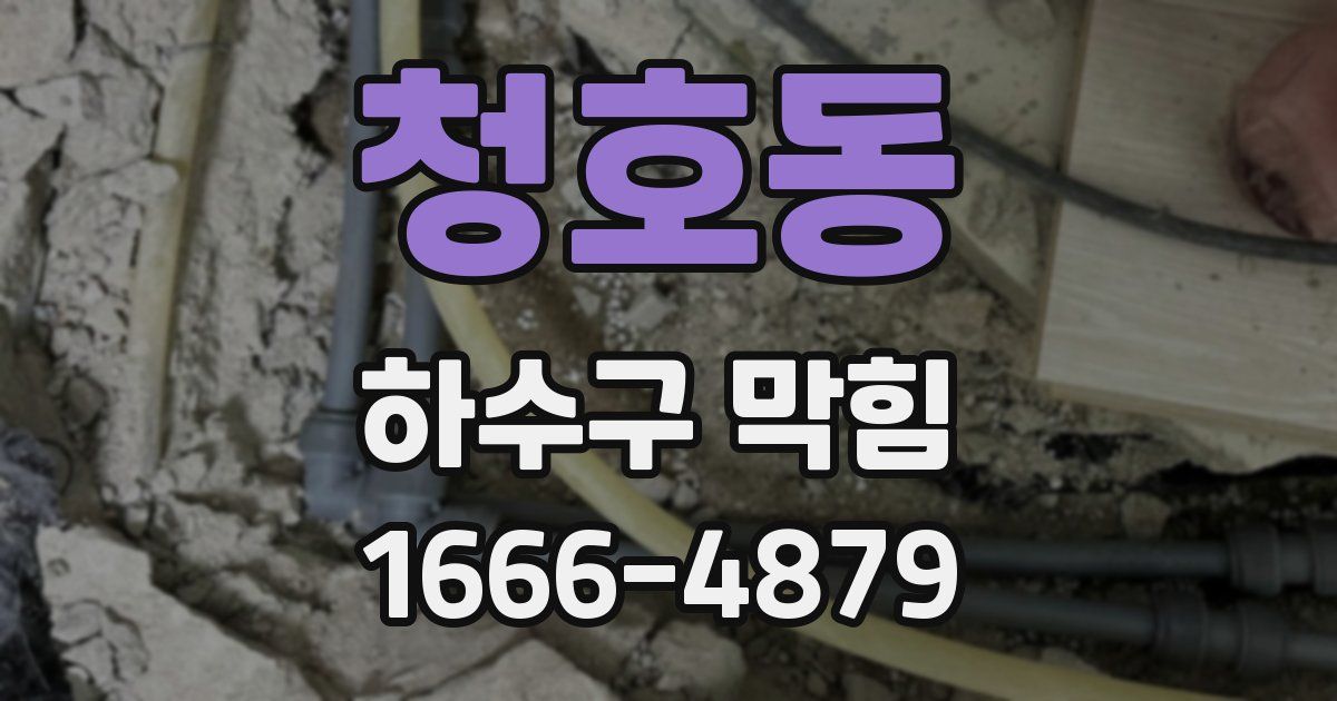 청호동 하수구 막힘
