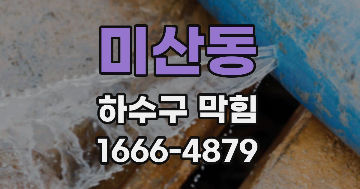 미산동 하수구 막힘