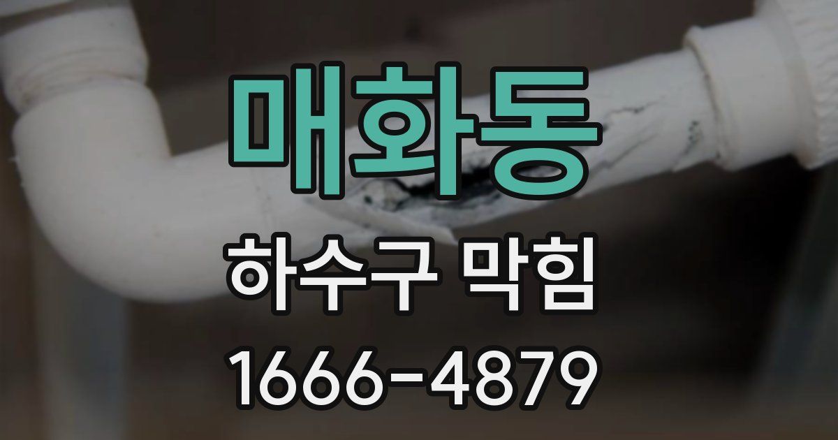 매화동 하수구 막힘