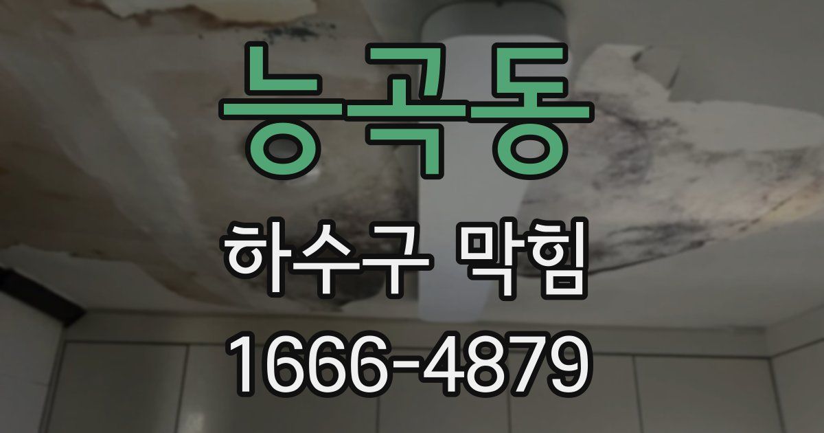 능곡동 하수구 막힘