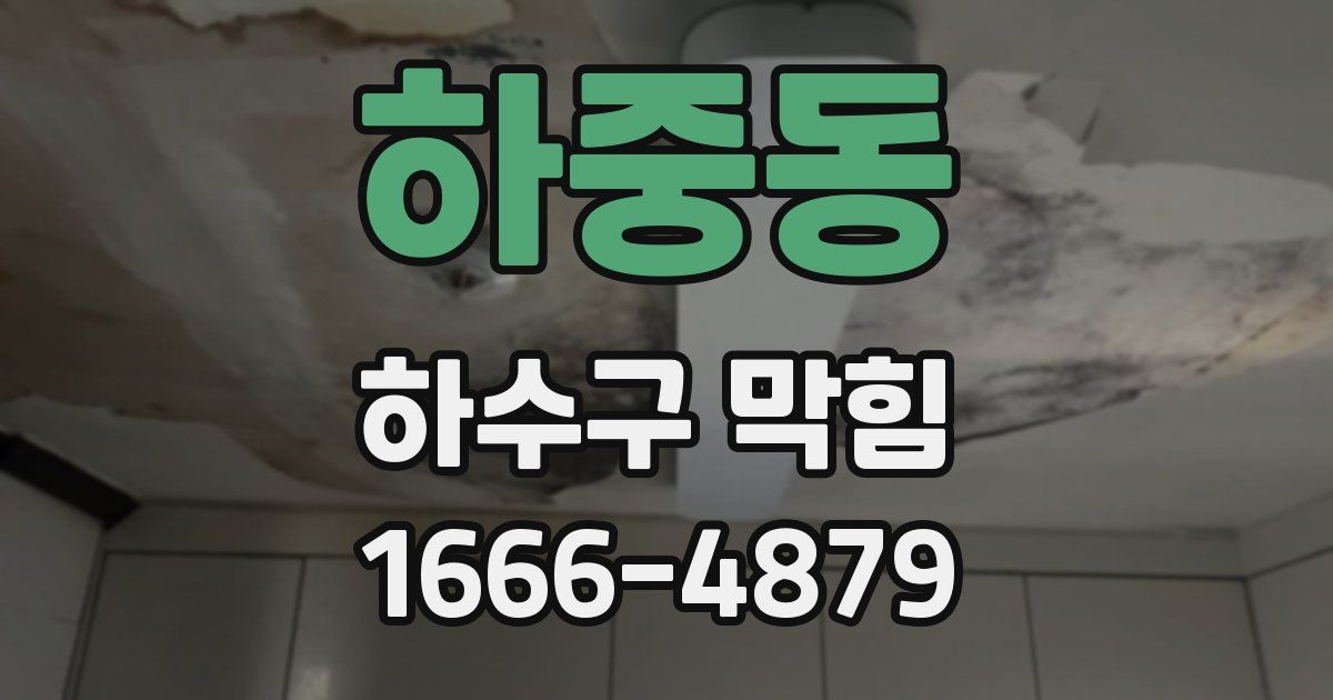 하중동 하수구 막힘