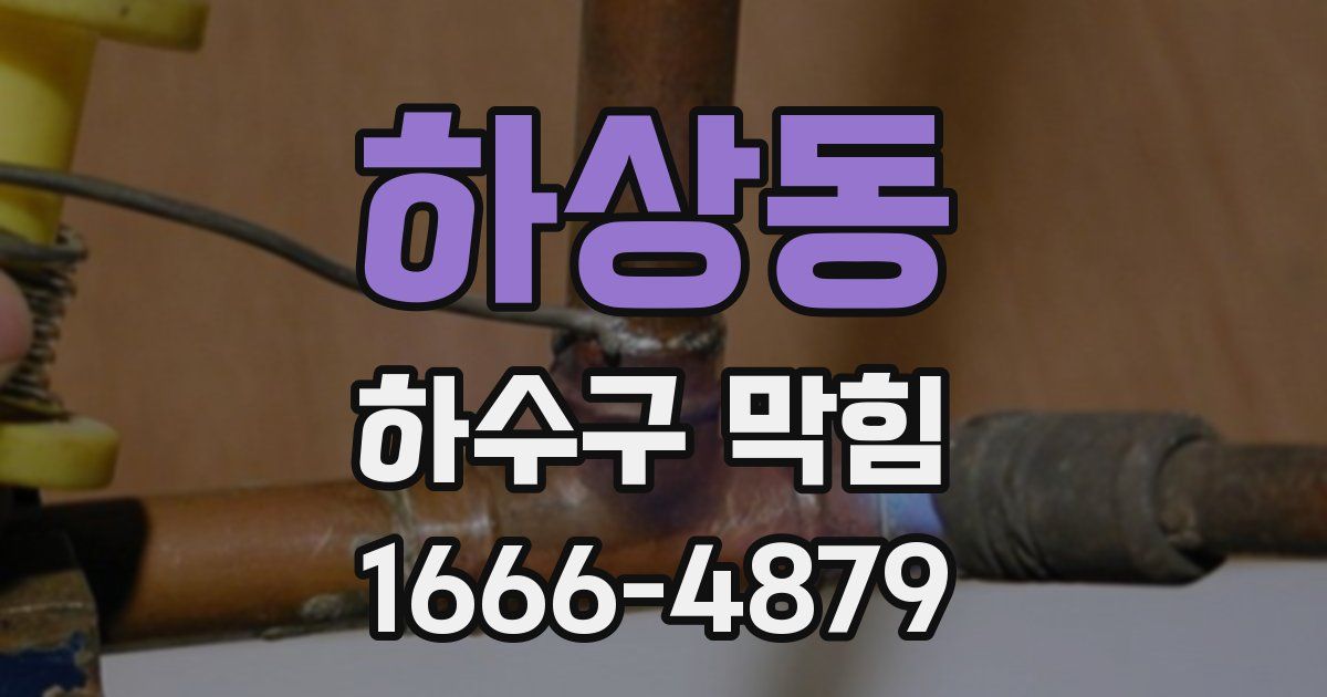 하상동 하수구 막힘