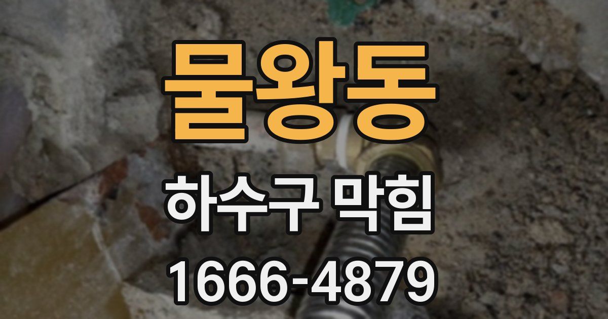 물왕동 하수구 막힘