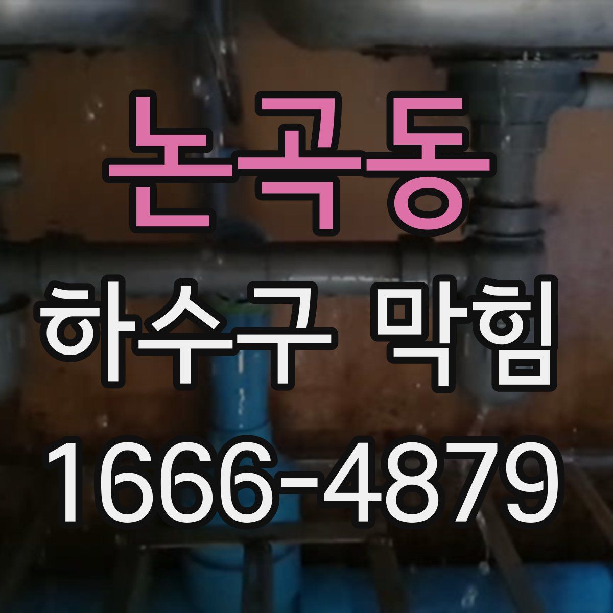 논곡동 하수구 막힘