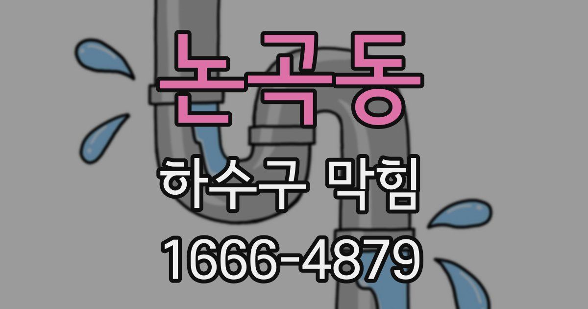 논곡동 하수구 막힘