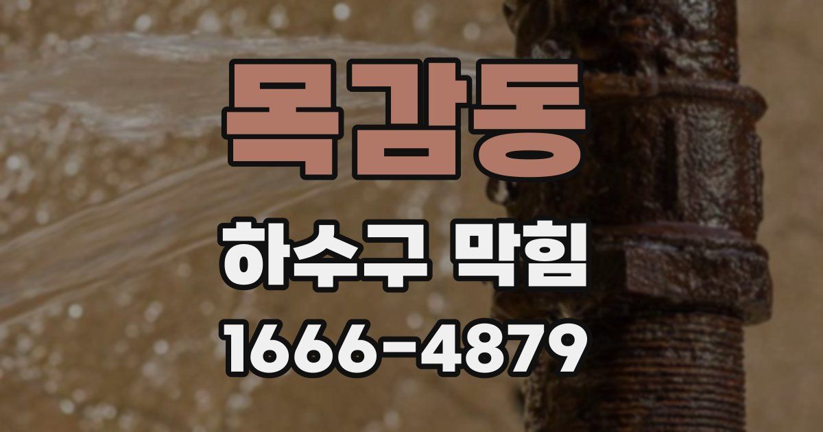 목감동 하수구 막힘