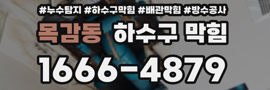 목감동 하수구 막힘