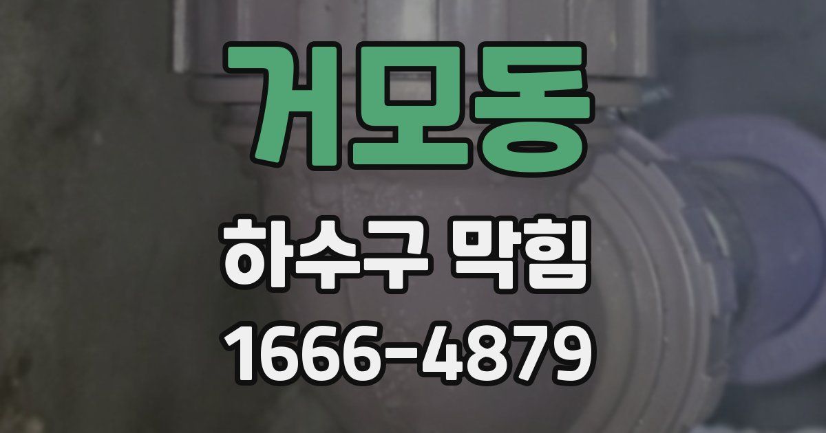 거모동 하수구 막힘