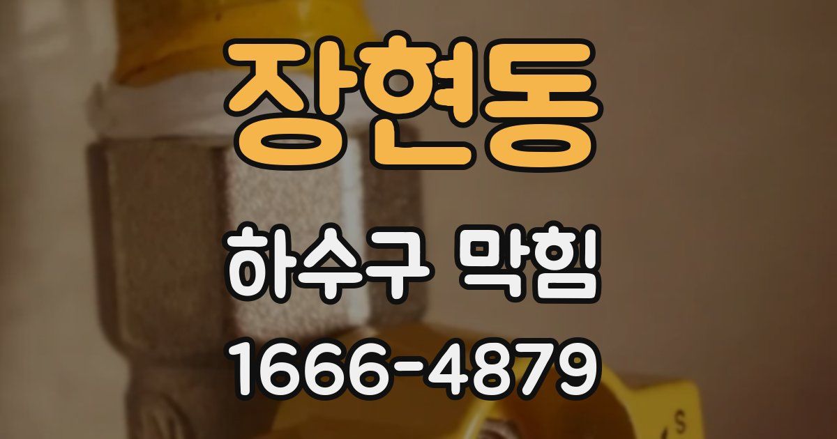 장현동 하수구 막힘