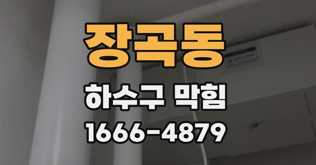 장곡동 하수구 막힘