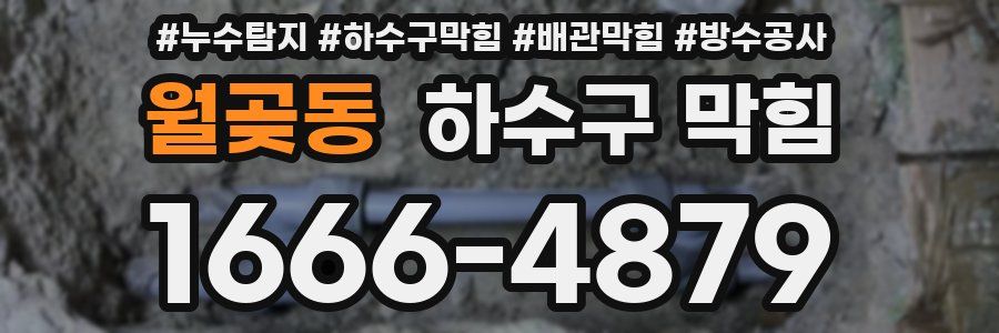 월곶동 하수구 막힘