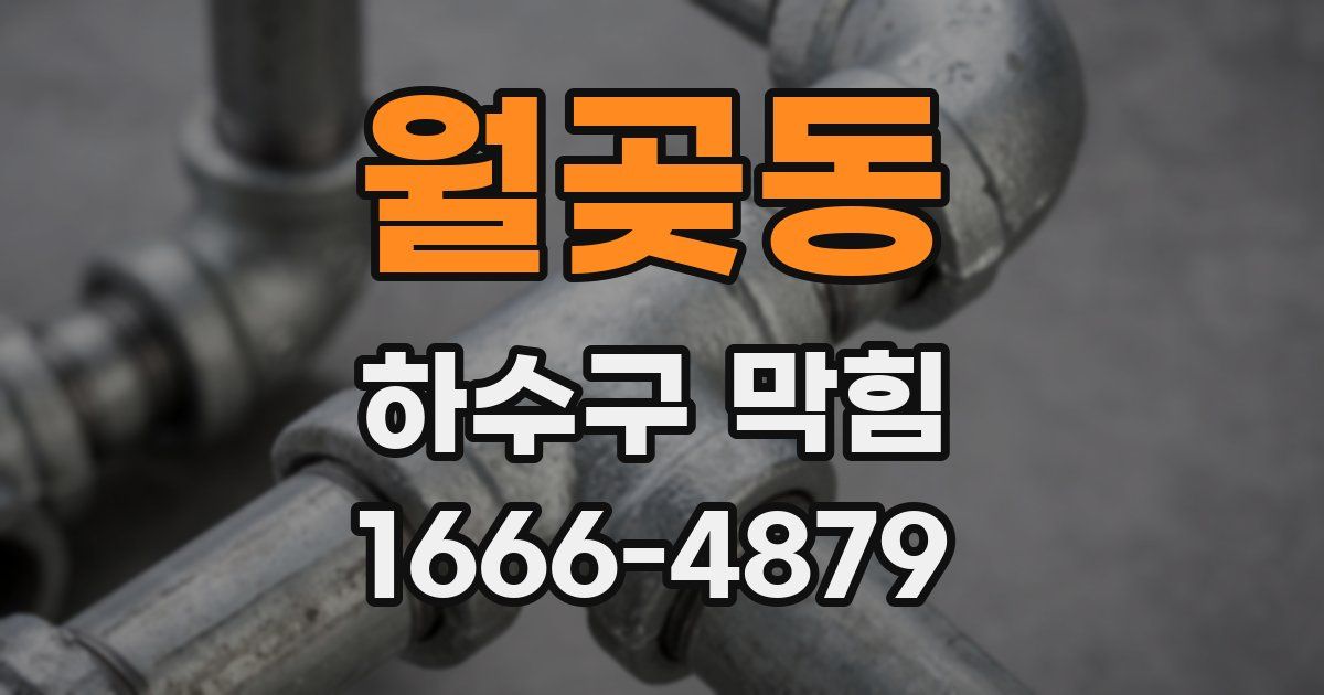 월곶동 하수구 막힘