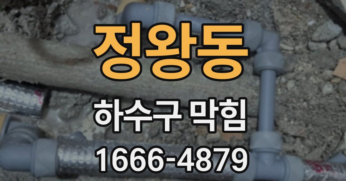 정왕동 하수구 막힘