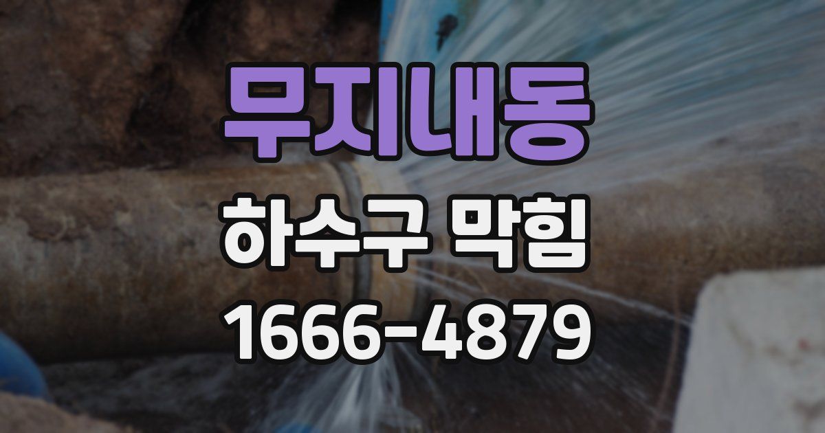 무지내동 하수구 막힘