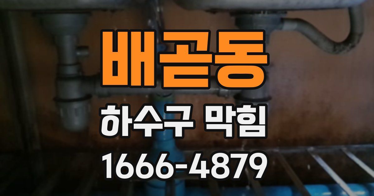 배곧동 하수구 막힘