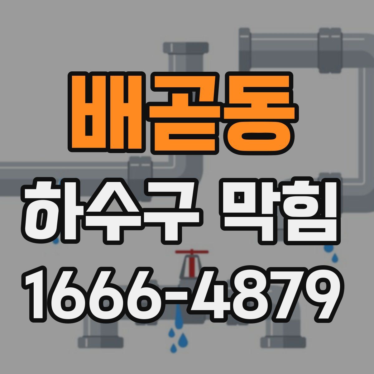 배곧동 하수구 막힘