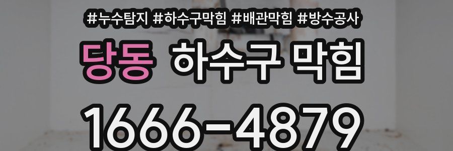 당동 하수구 막힘