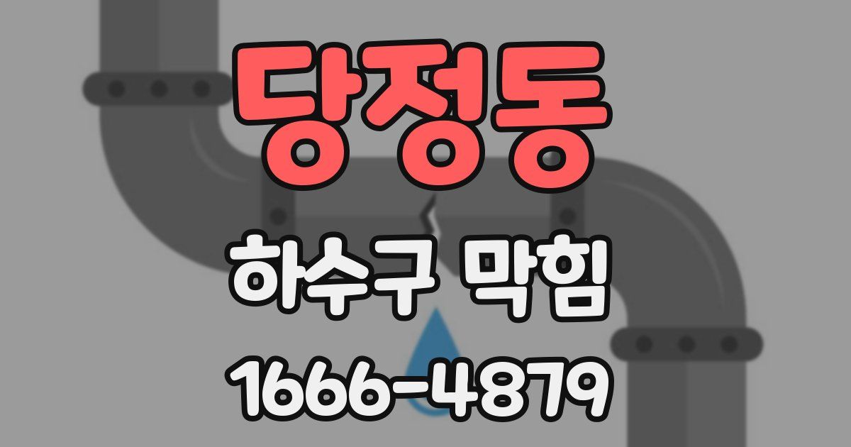 당정동 하수구 막힘