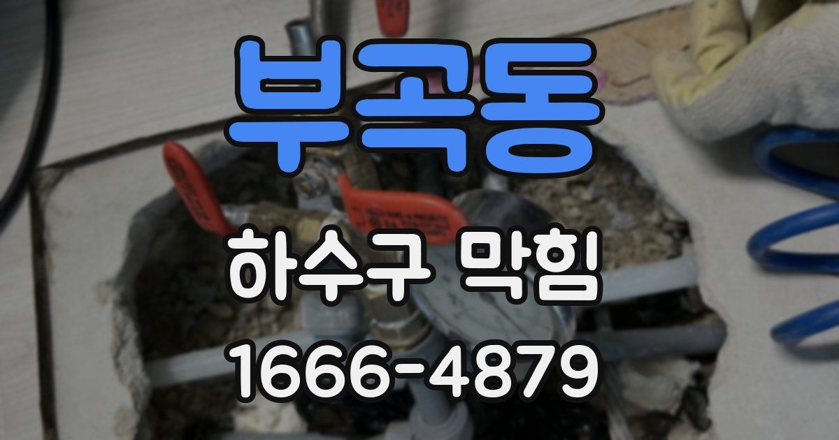 부곡동 하수구 막힘