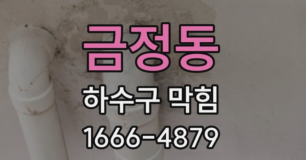 금정동 하수구 막힘