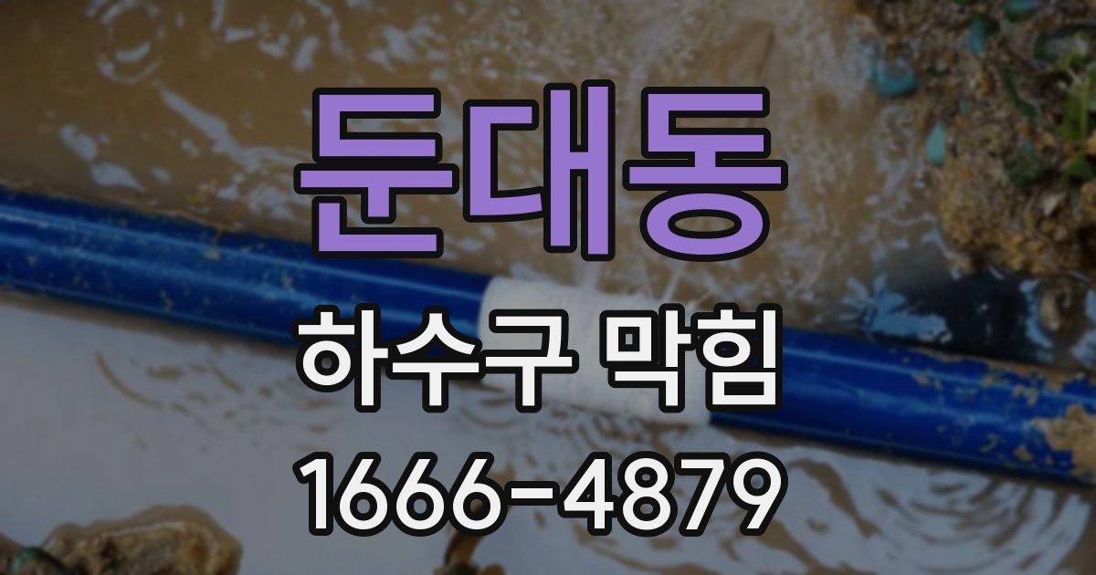 둔대동 하수구 막힘