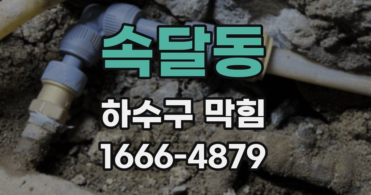 속달동 하수구 막힘