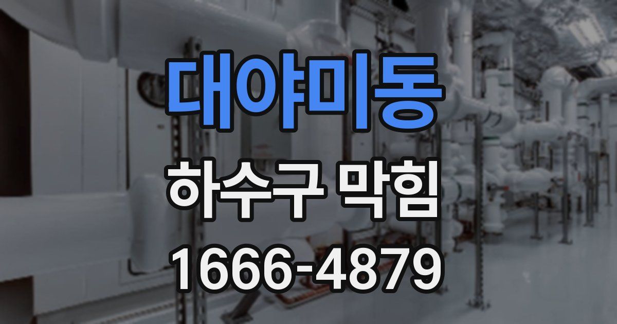 대야미동 하수구 막힘